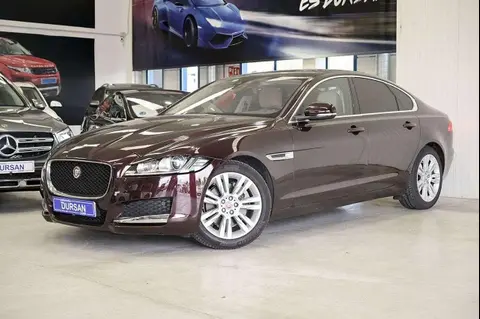 Annonce JAGUAR XF Diesel 2016 d'occasion 