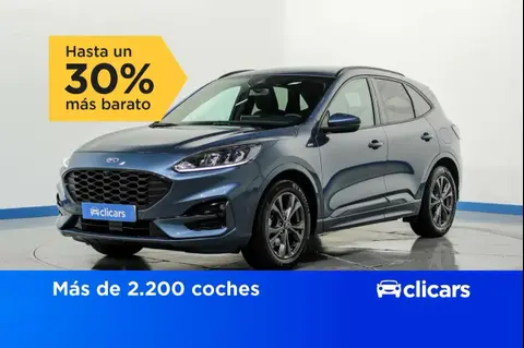 Used FORD KUGA Petrol 2022 Ad 