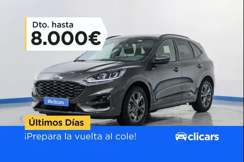 Used FORD KUGA Hybrid 2021 Ad 