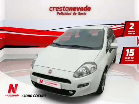 Used FIAT PUNTO Diesel 2015 Ad 