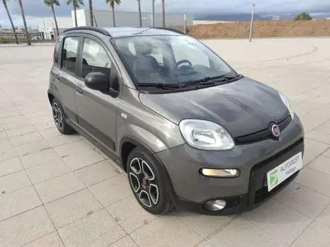 Annonce FIAT PANDA Essence 2022 d'occasion 