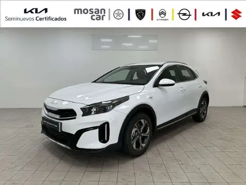 Used KIA XCEED Petrol 2023 Ad 