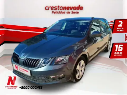 Used SKODA OCTAVIA Petrol 2019 Ad 