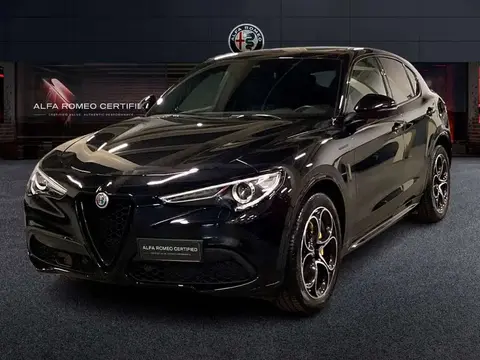 Used ALFA ROMEO STELVIO Diesel 2021 Ad 