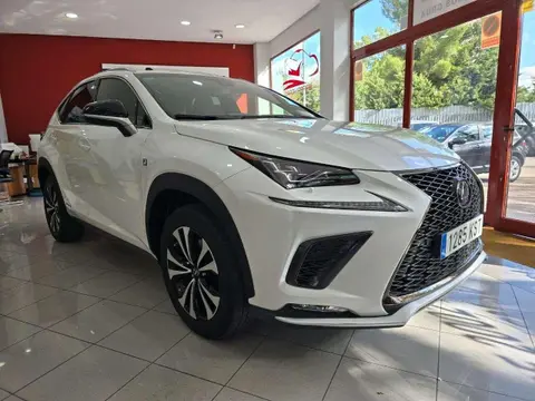 Used LEXUS NX Hybrid 2019 Ad 