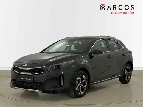 Used KIA XCEED Petrol 2023 Ad 