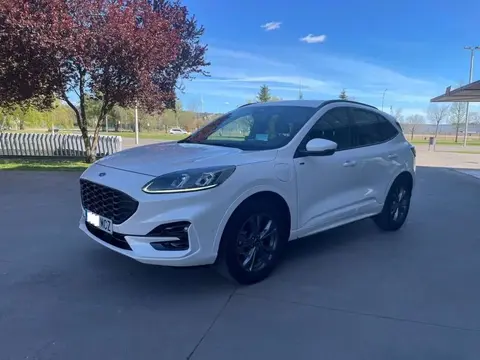 Used FORD KUGA Hybrid 2023 Ad 