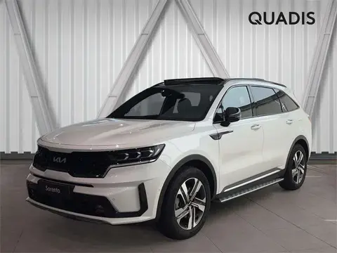 Used KIA SORENTO  2024 Ad 