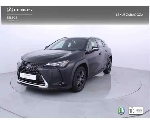 Annonce LEXUS UX Hybride 2019 d'occasion 