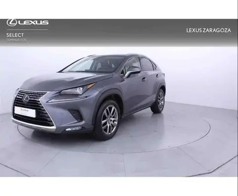 Annonce LEXUS NX Hybride 2020 d'occasion 