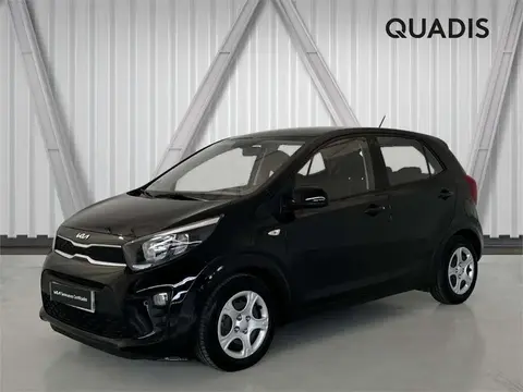 Used KIA PICANTO Petrol 2023 Ad 