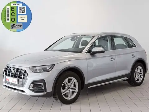 Used AUDI Q5 Diesel 2023 Ad 