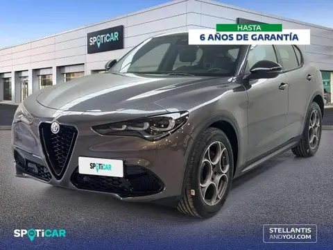 Annonce ALFA ROMEO STELVIO Diesel 2023 d'occasion 