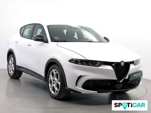 Annonce ALFA ROMEO TONALE Diesel 2023 d'occasion 