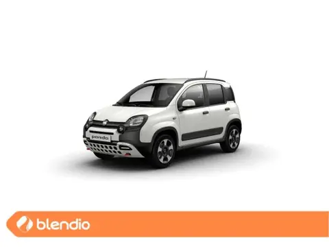 Used FIAT PANDA Hybrid 2024 Ad 