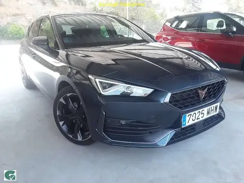 Annonce CUPRA LEON Essence 2023 d'occasion 