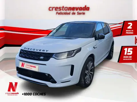 Used LAND ROVER DISCOVERY Hybrid 2021 Ad 