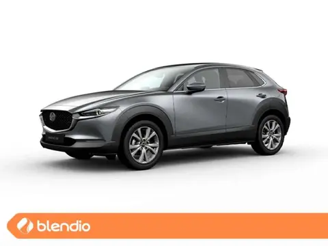 Annonce MAZDA CX-30 Hybride 2024 d'occasion 