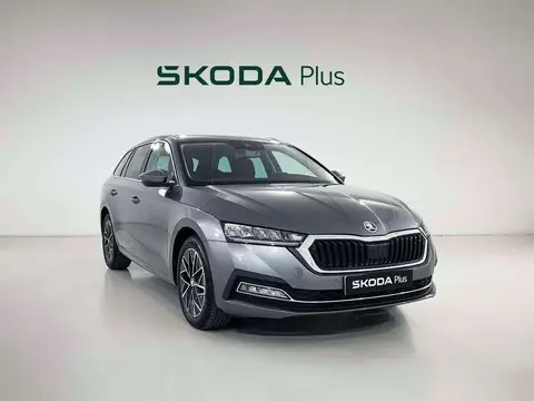 Used SKODA OCTAVIA Petrol 2024 Ad 