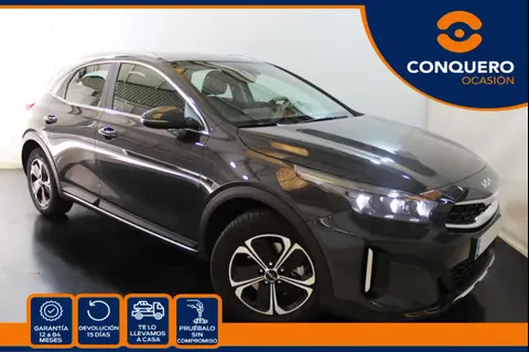 Used KIA XCEED Hybrid 2024 Ad 