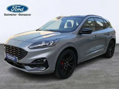 Used FORD KUGA  2023 Ad 