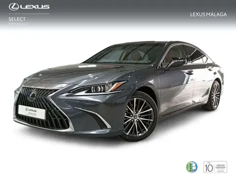 Used LEXUS ES Hybrid 2024 Ad 