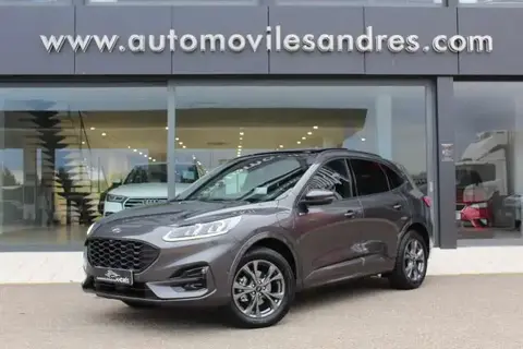 Annonce FORD KUGA Hybride 2023 d'occasion 