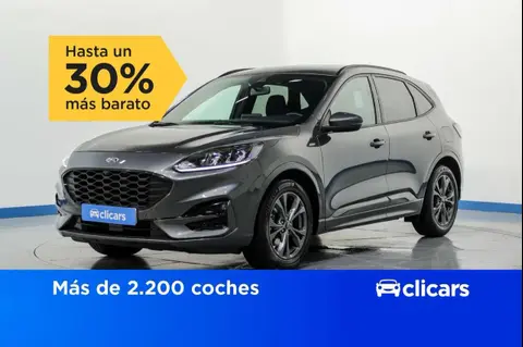 Annonce FORD KUGA Essence 2022 d'occasion 