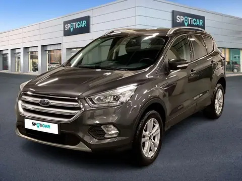 Used FORD KUGA Petrol 2019 Ad 