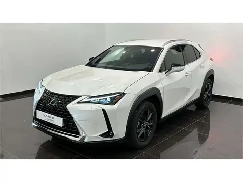 Used LEXUS UX Hybrid 2023 Ad 