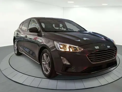 Used FORD FOCUS Petrol 2019 Ad 