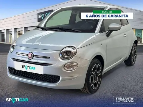 Used FIAT 500 Petrol 2023 Ad 