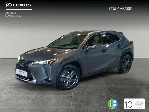 Annonce LEXUS UX Hybride 2023 d'occasion 