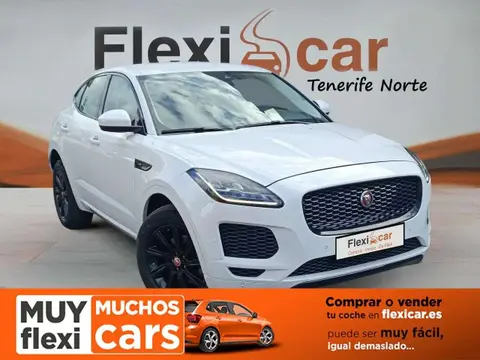 Used JAGUAR E-PACE Diesel 2019 Ad 