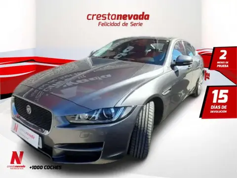 Annonce JAGUAR XE Diesel 2019 d'occasion 