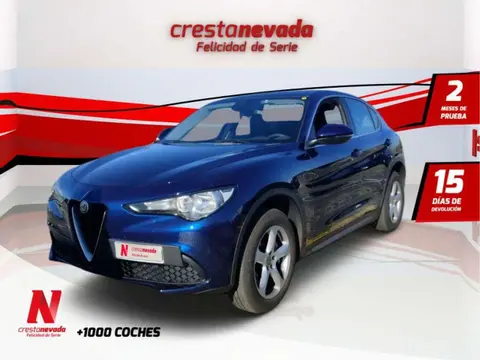 Annonce ALFA ROMEO STELVIO Essence 2019 d'occasion 