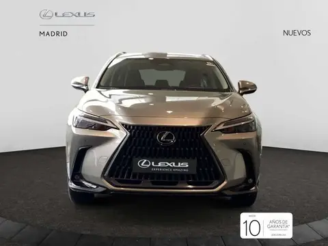 Used LEXUS NX Hybrid 2024 Ad 