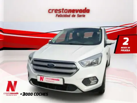 Used FORD KUGA Diesel 2019 Ad 