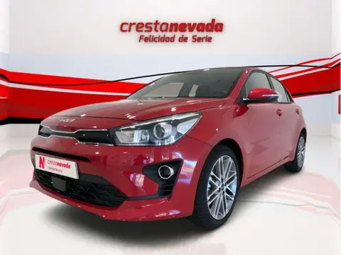 Used KIA RIO Petrol 2022 Ad 