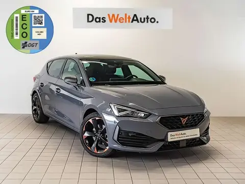 Used CUPRA LEON Petrol 2023 Ad 