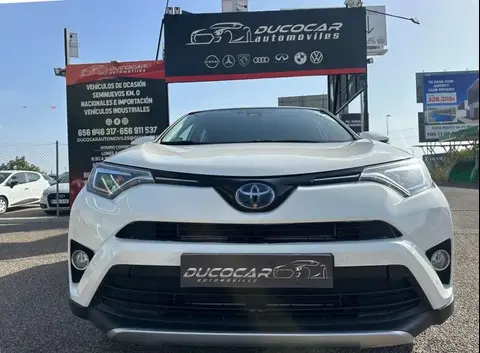 Used TOYOTA RAV4 Hybrid 2018 Ad 