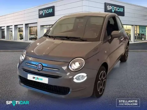 Used FIAT 500 Petrol 2023 Ad 