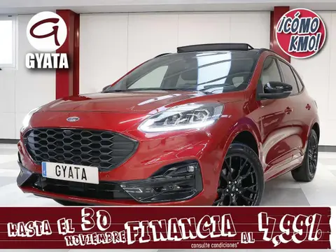 Used FORD KUGA Hybrid 2024 Ad 