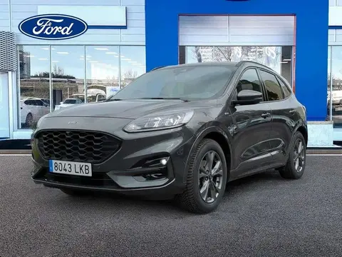 Annonce FORD KUGA Essence 2020 d'occasion 