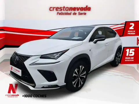 Annonce LEXUS NX Hybride 2019 d'occasion 