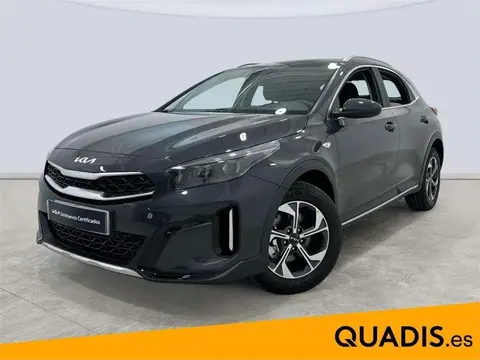 Used KIA XCEED Petrol 2024 Ad 