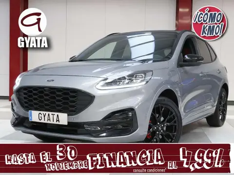 Used FORD KUGA Hybrid 2023 Ad 