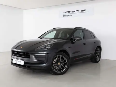 Annonce PORSCHE MACAN Essence 2024 d'occasion 