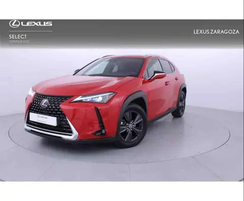 Used LEXUS UX  2023 Ad 