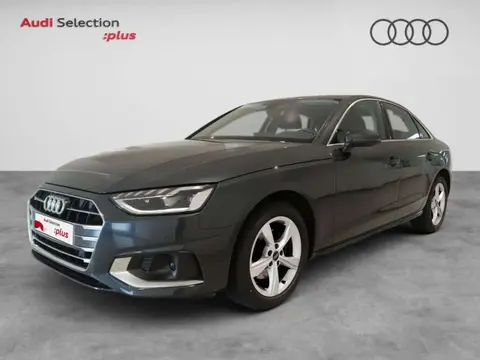 Annonce AUDI A4 Diesel 2023 d'occasion 